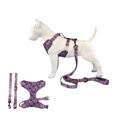 Sett ta' xedd u ċinga tal-klieb