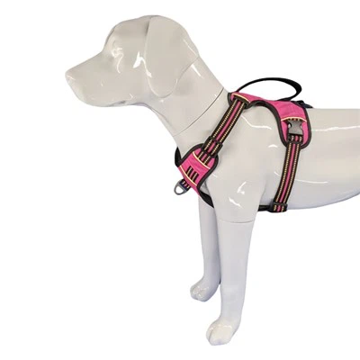 Xedd tal-Klieb Bil-Manku