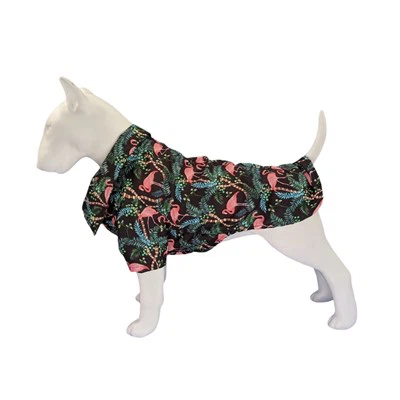 Qomos tal-Klieb Flamingo