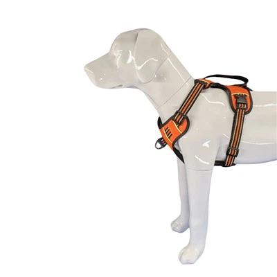 Xedd tal-Klieb Clip Front